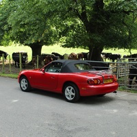MAZDA MX-5